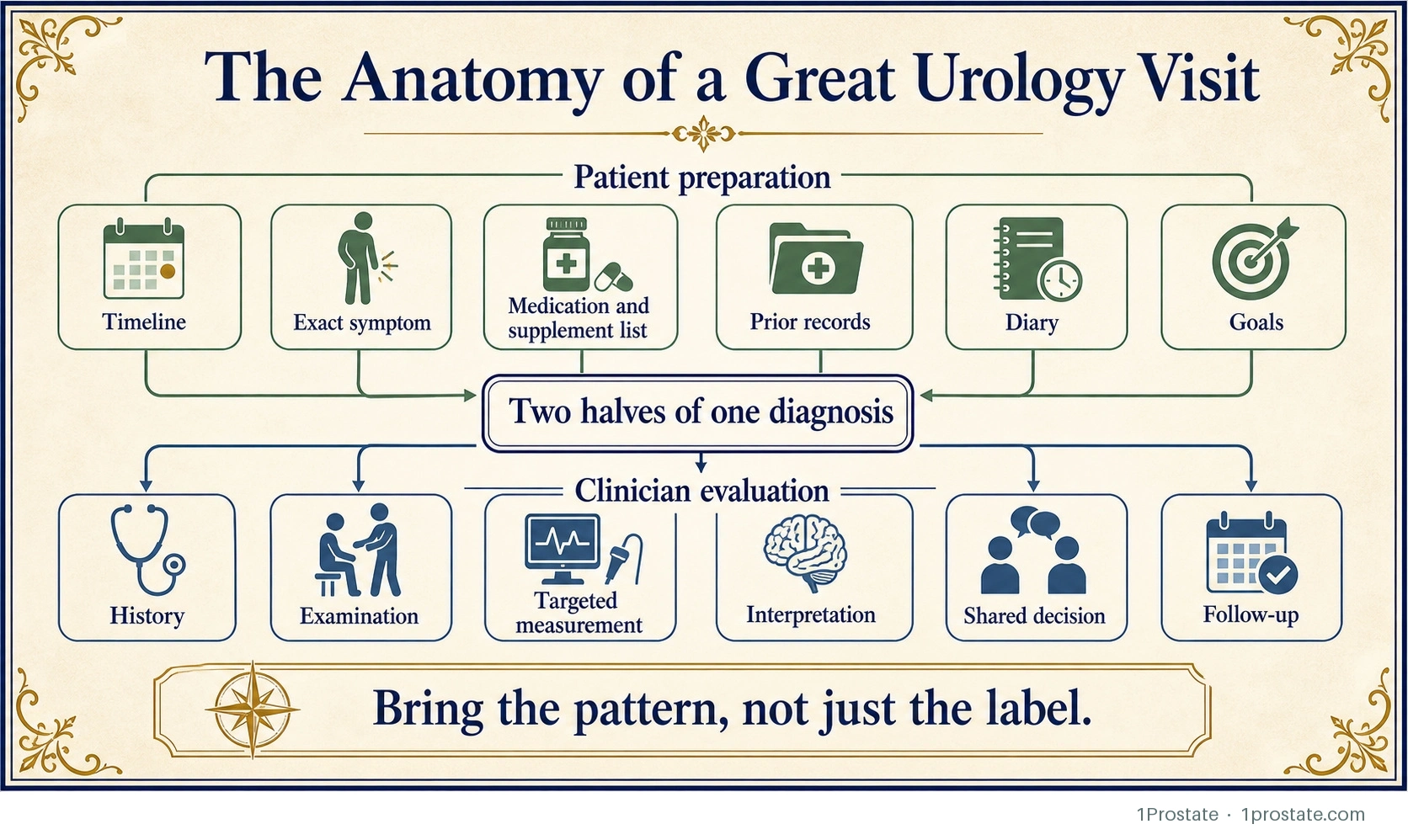 The Anatomy of a Great Urology Visit