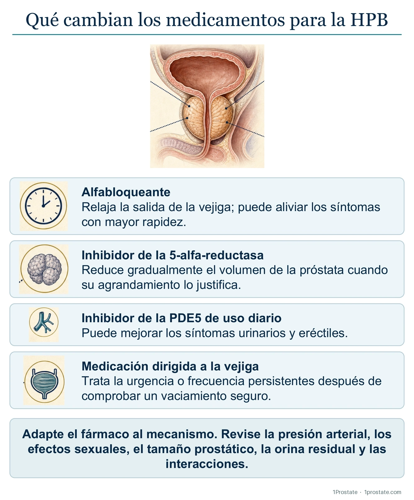 ¿Qué cambios producen los medicamentos para la HPB?