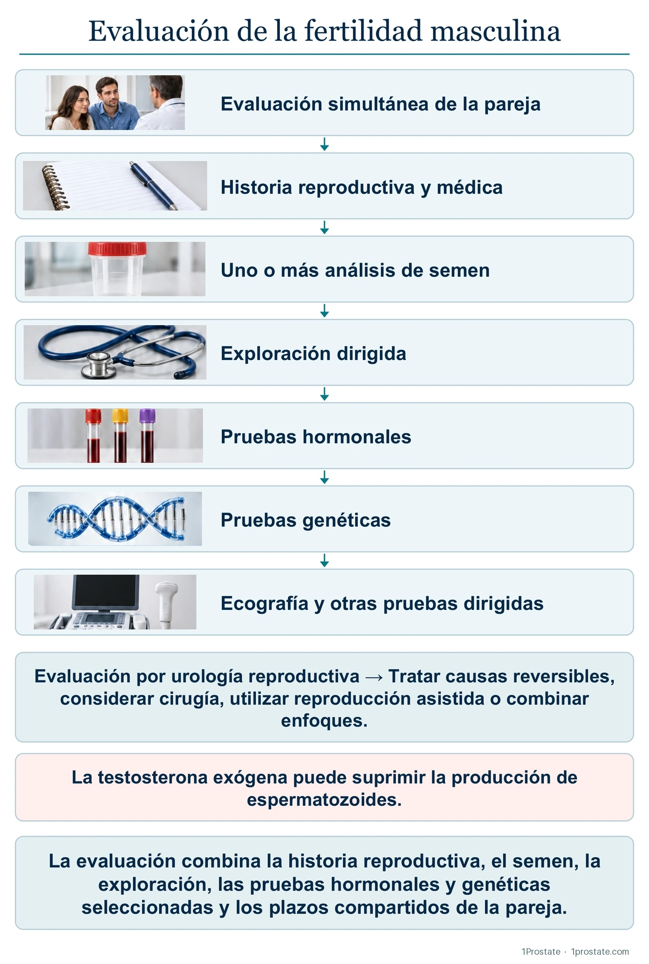 El protocolo de evaluación de la fertilidad masculina