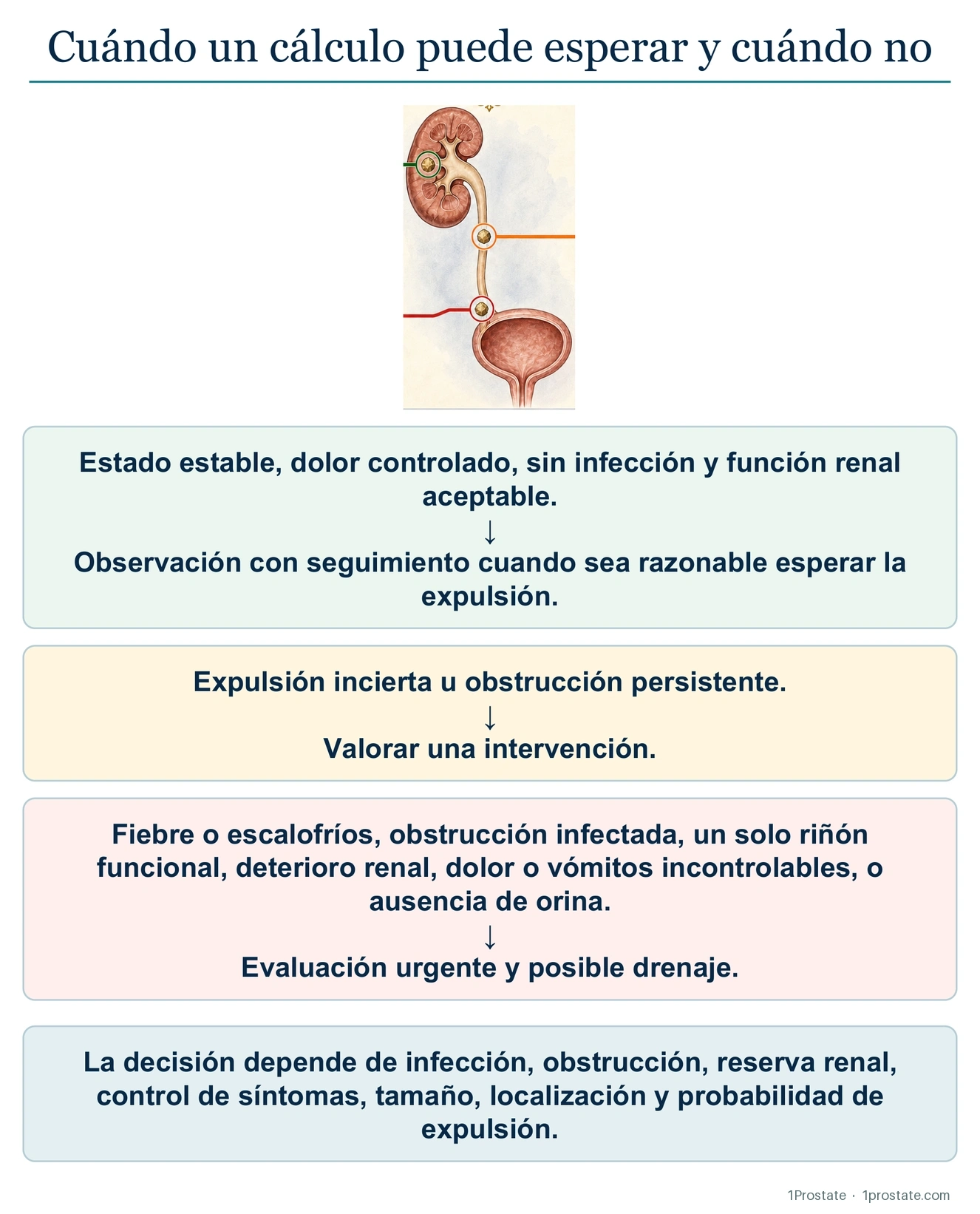 Cuándo se puede esperar y cuándo no con un cálculo renal
