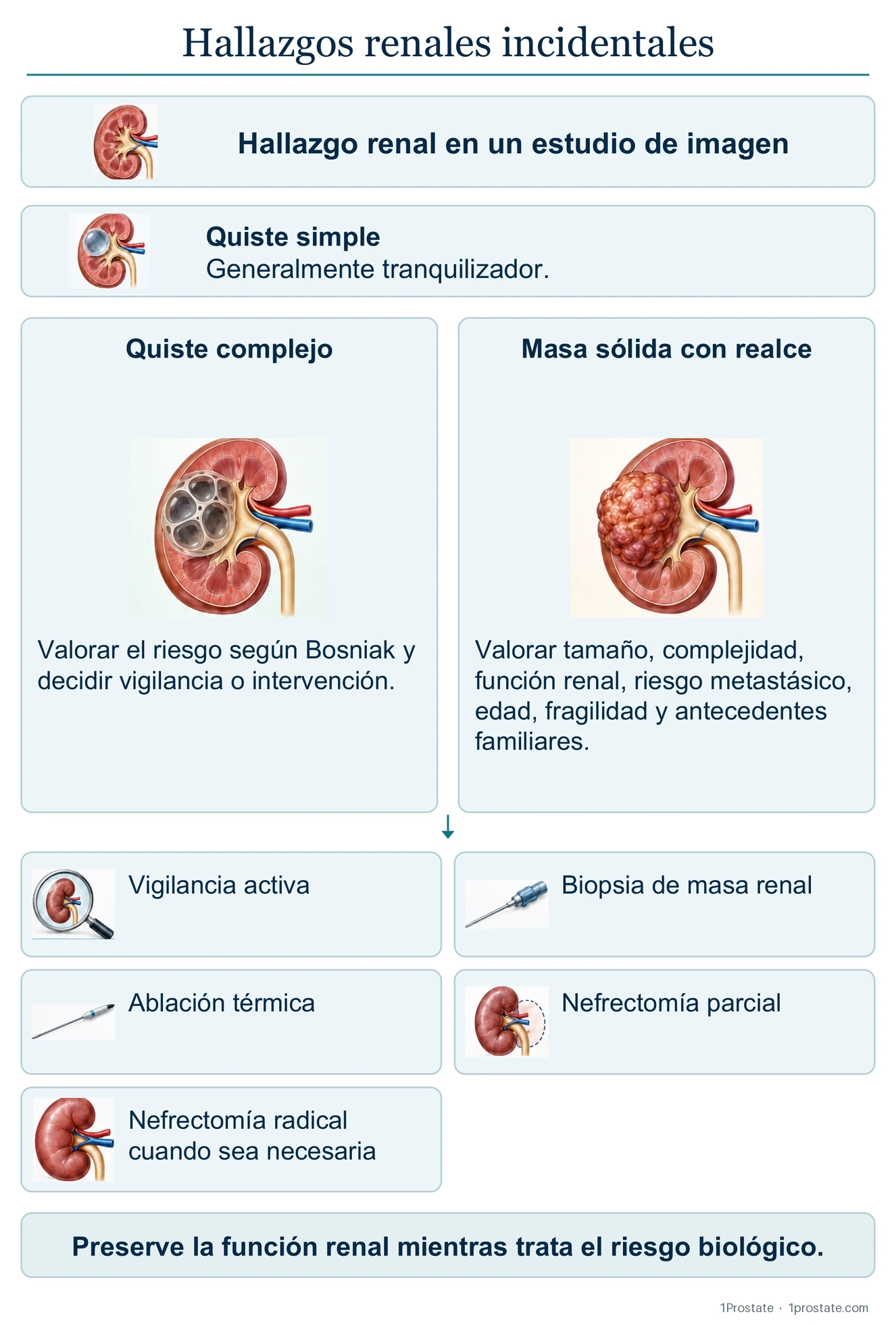 El protocolo para la identificación de hallazgos renales incidentales
