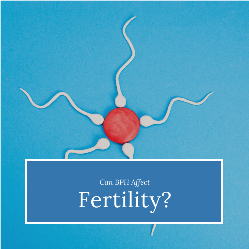Can BPH Affect fertility